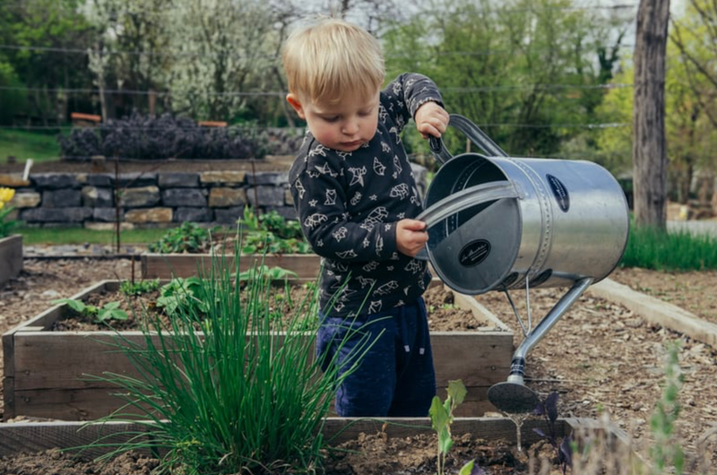 Teaching children a more sustainable lifestyle: 7 tips